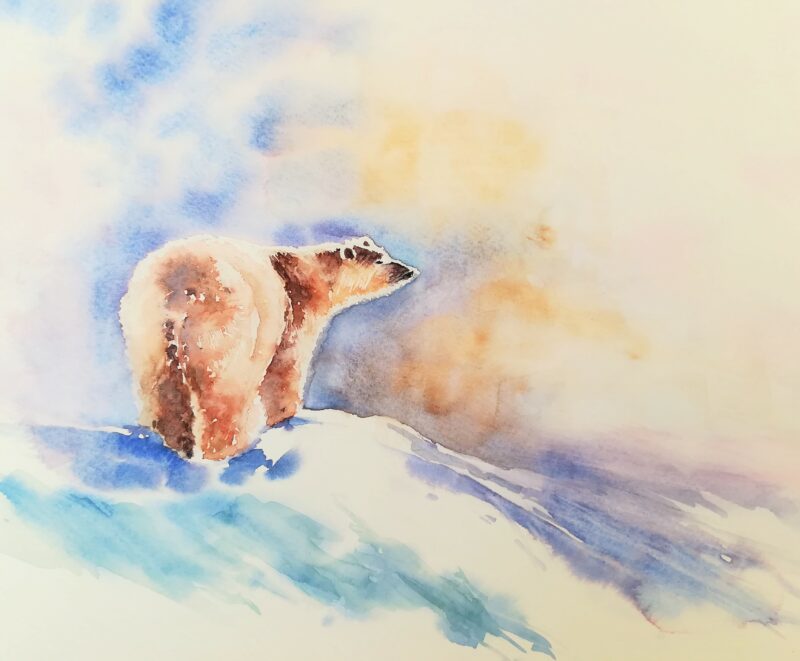 Animaux et Portraits à l’aquarelle